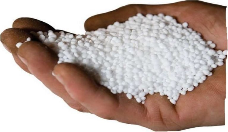 Granular urea fertilizer