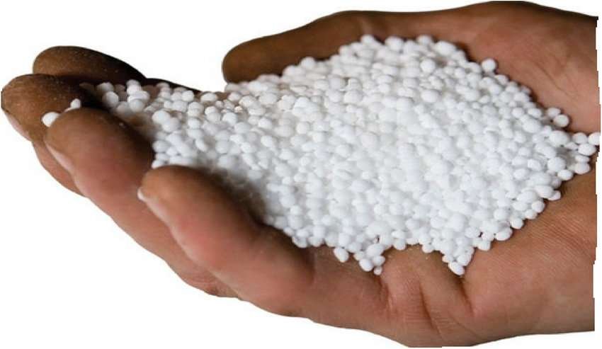 Granular urea fertilizer
