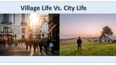 Village Life vs City Life