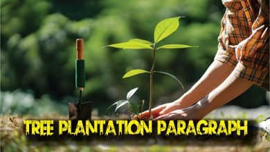 Tree Plantation Paragraph