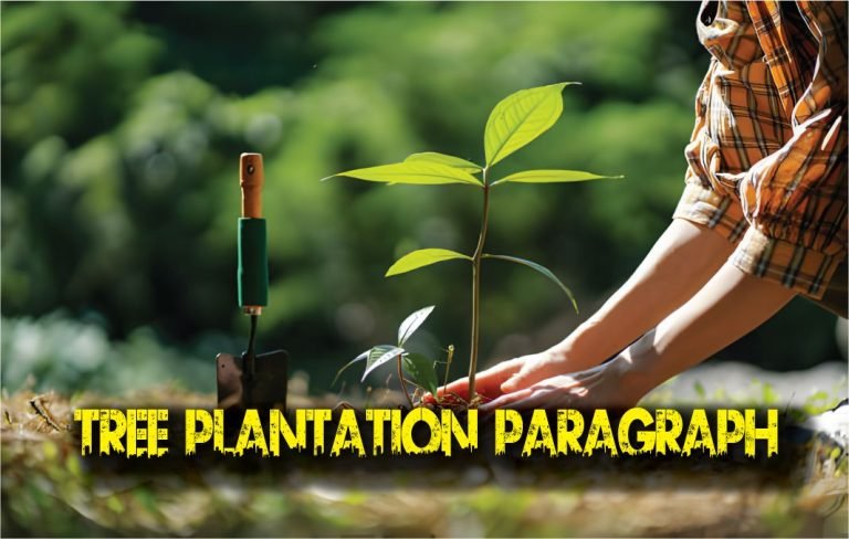 Tree Plantation Paragraph